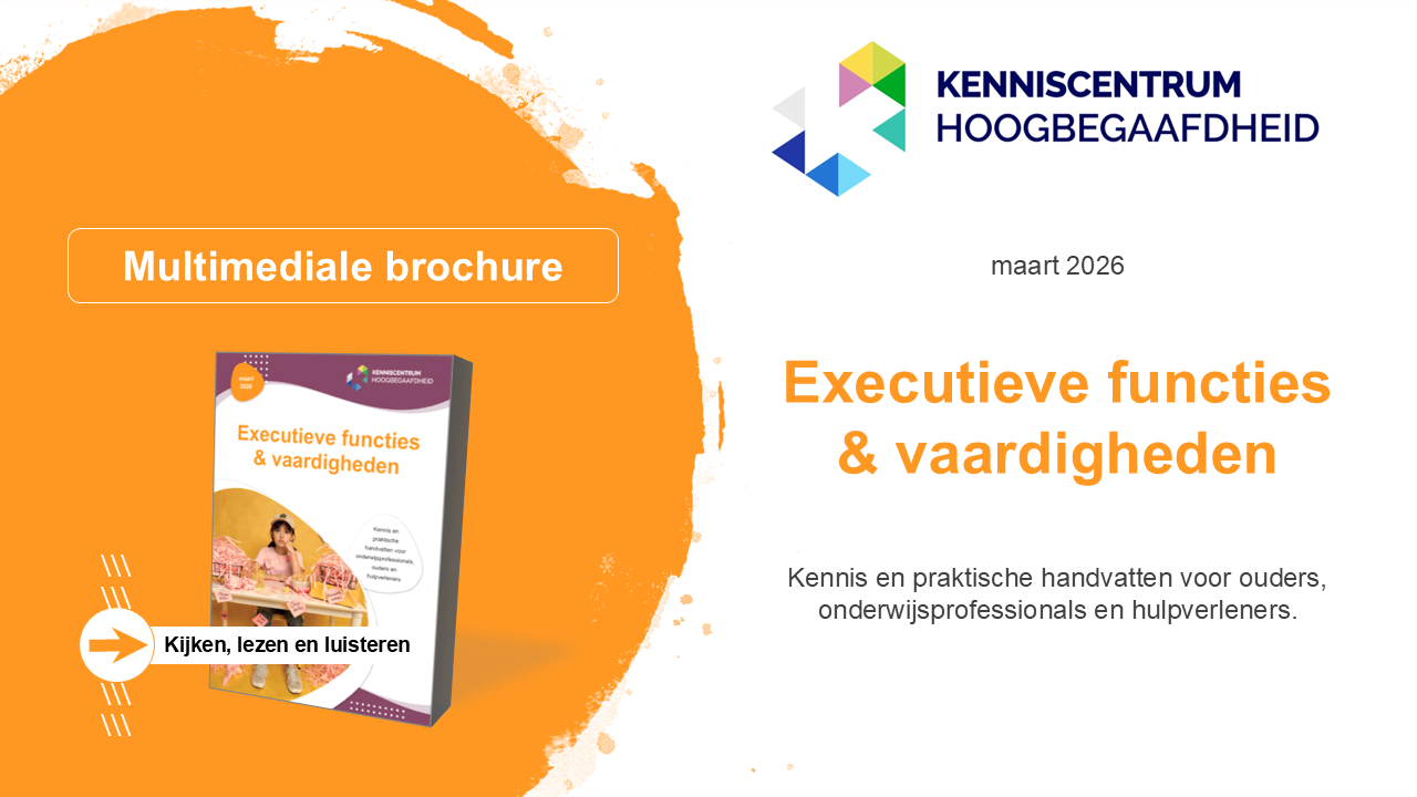 Executieve functies & vaardigheden - afb. website brochure