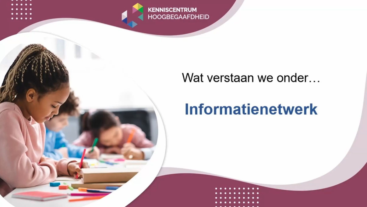 Executieve vaardigheden - informatienetwerk
